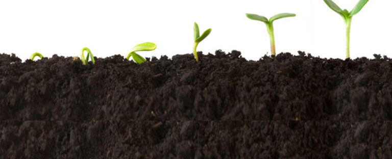 slider_bg3
